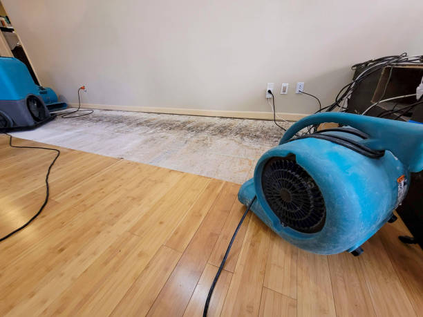 Professional Basement Flood Cleanup technician working in Van Dyne, WI